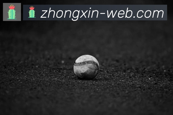 众鑫彩票官网发展历程